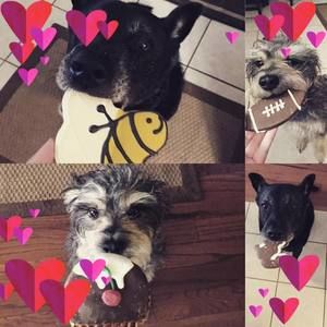 Meet your Posher, Cynthia